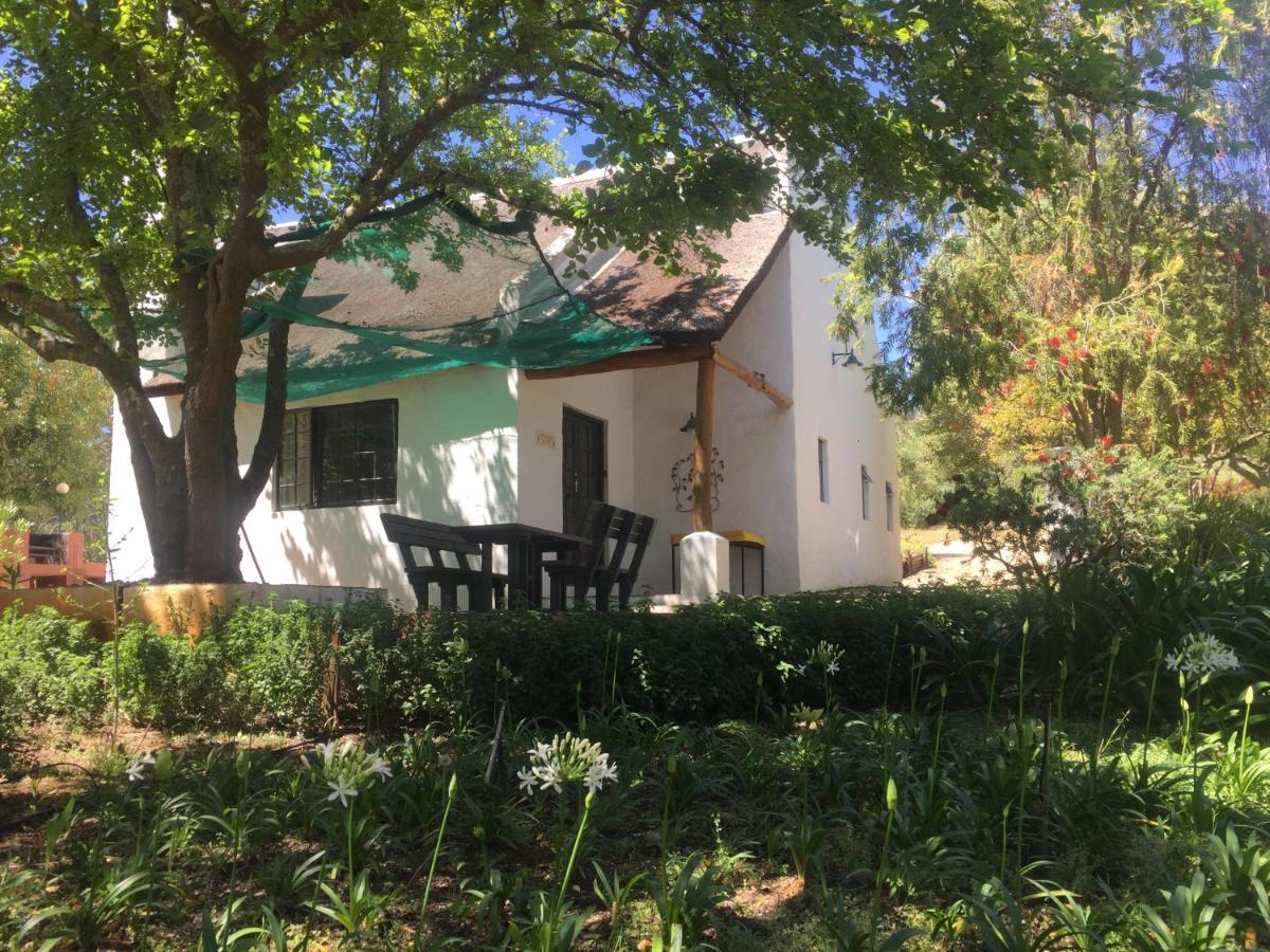 Villa Mooi Bly Paarl Exterior foto