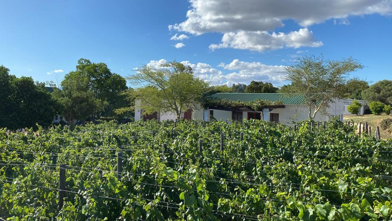 Villa Mooi Bly Paarl Exterior foto
