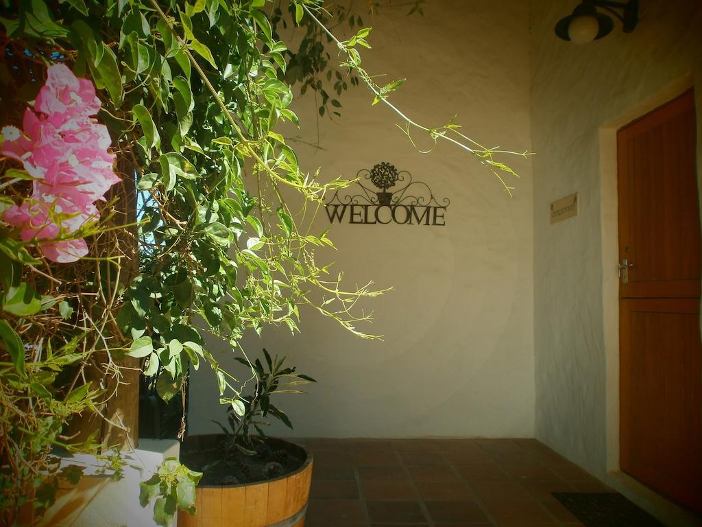 Villa Mooi Bly Paarl Exterior foto