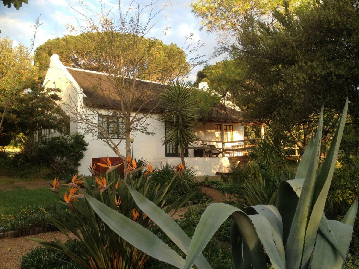 Villa Mooi Bly Paarl Exterior foto
